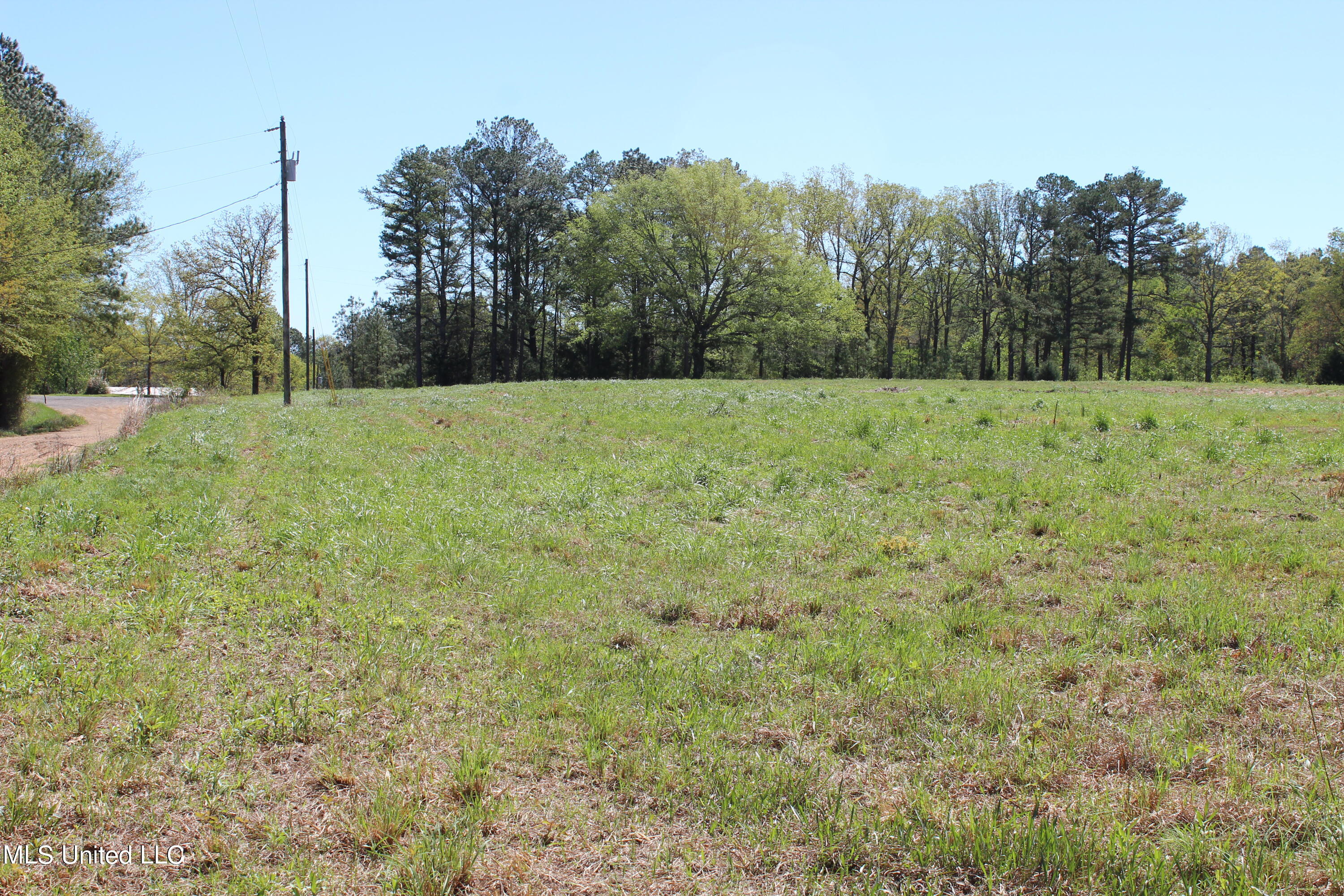 Melvin Leach  Road, Union, Mississippi image 12