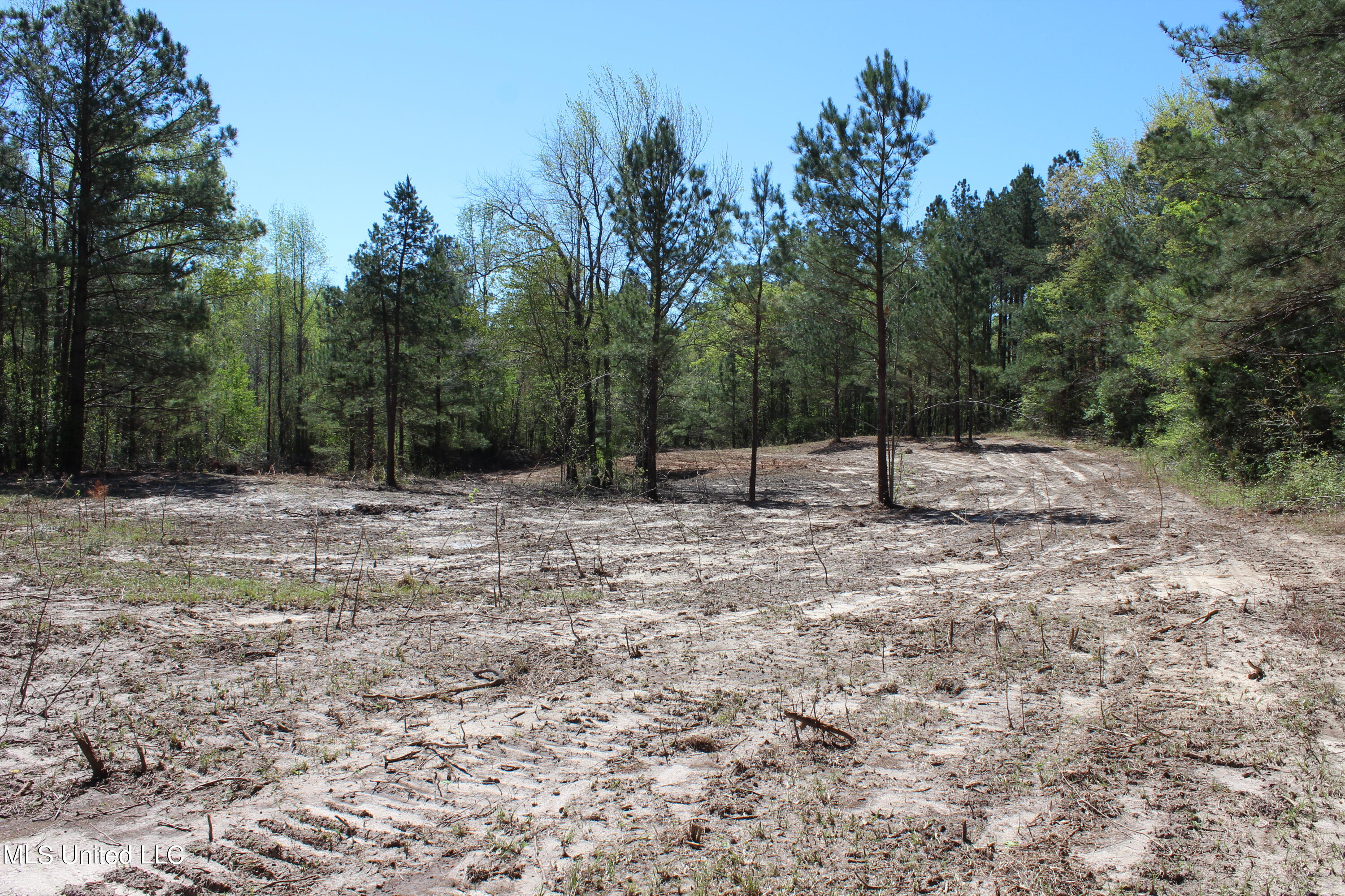 Melvin Leach  Road, Union, Mississippi image 18