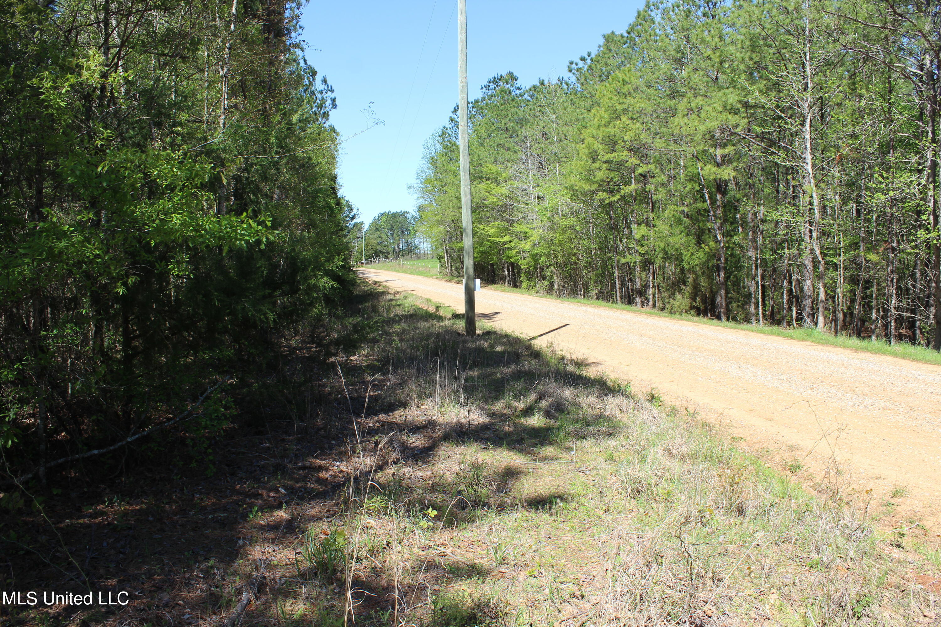 Melvin Leach  Road, Union, Mississippi image 14