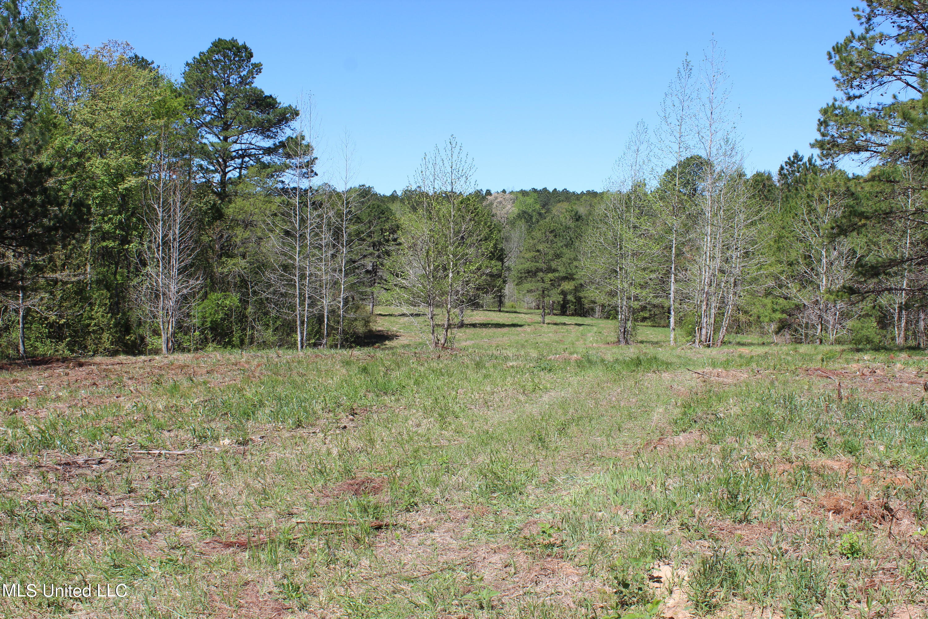 Melvin Leach  Road, Union, Mississippi image 30