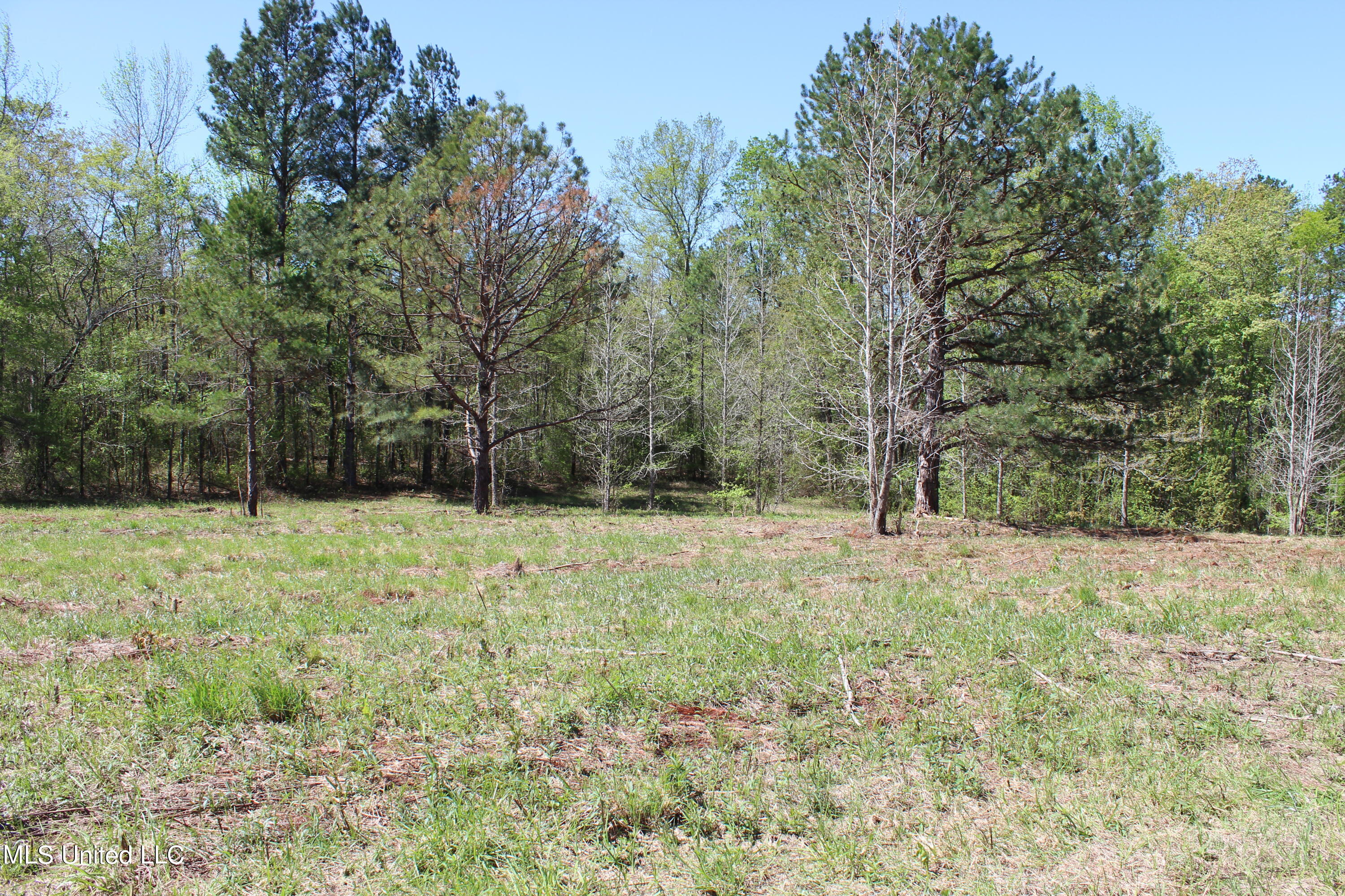 Melvin Leach  Road, Union, Mississippi image 31