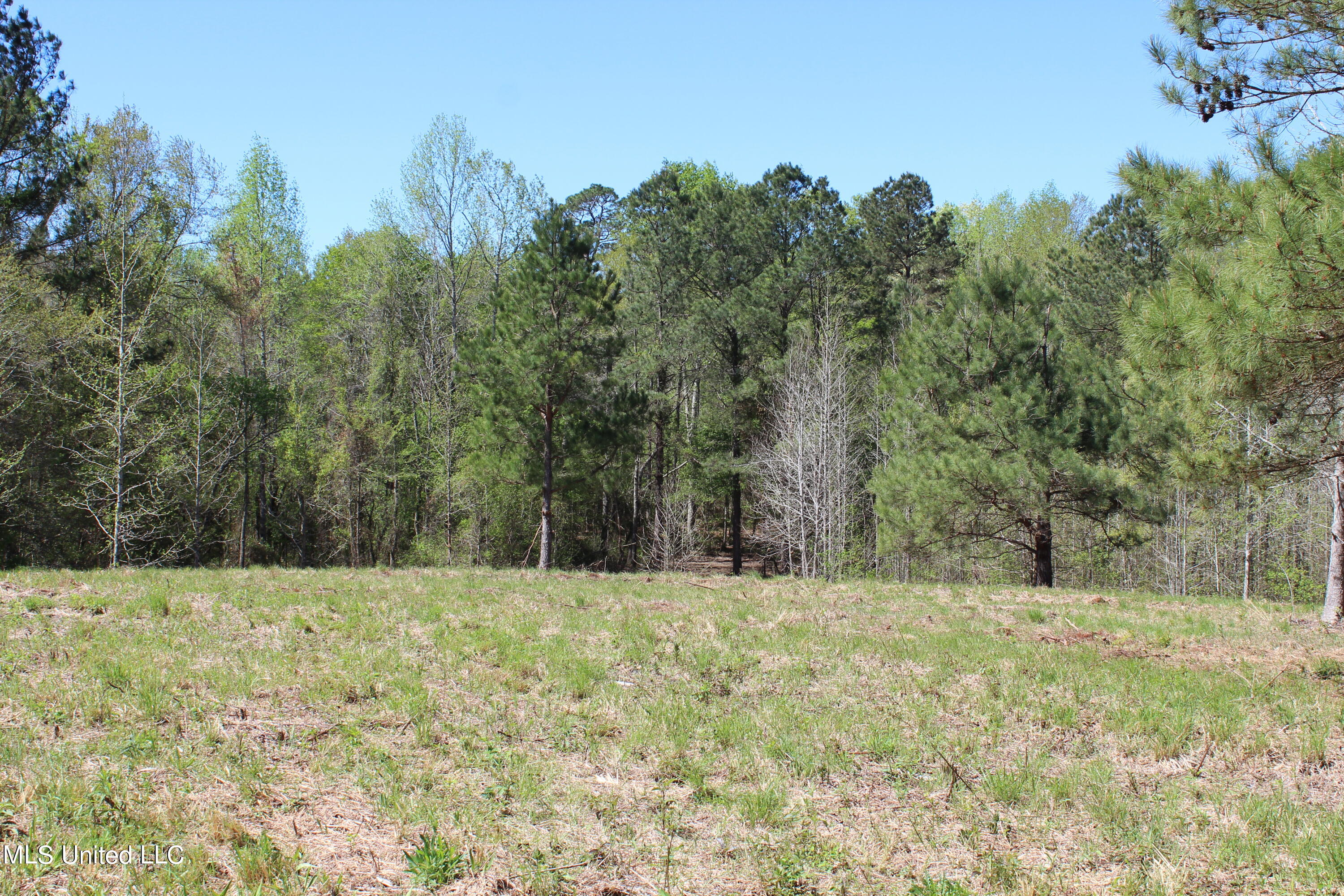 Melvin Leach  Road, Union, Mississippi image 25