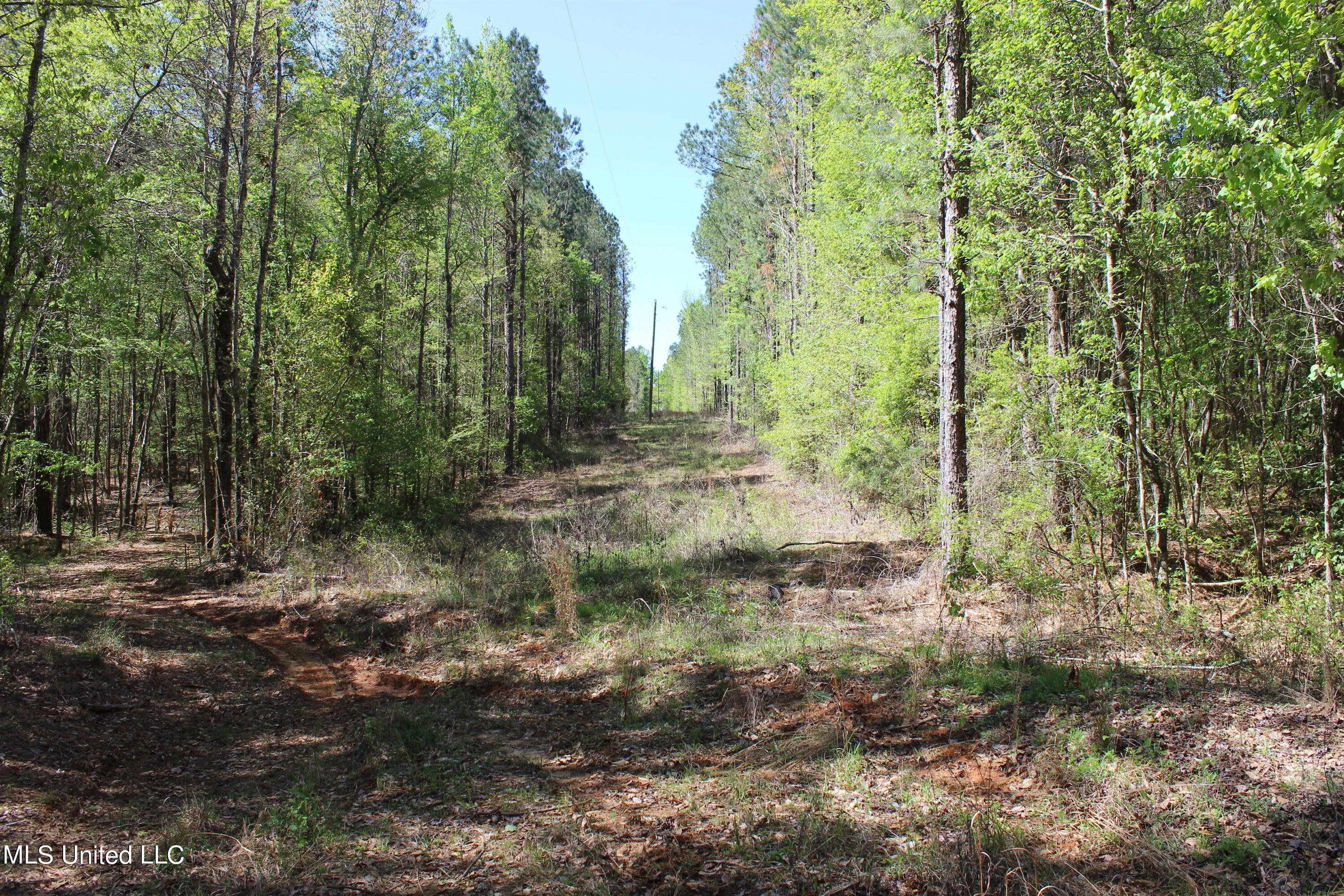 Melvin Leach  Road, Union, Mississippi image 39