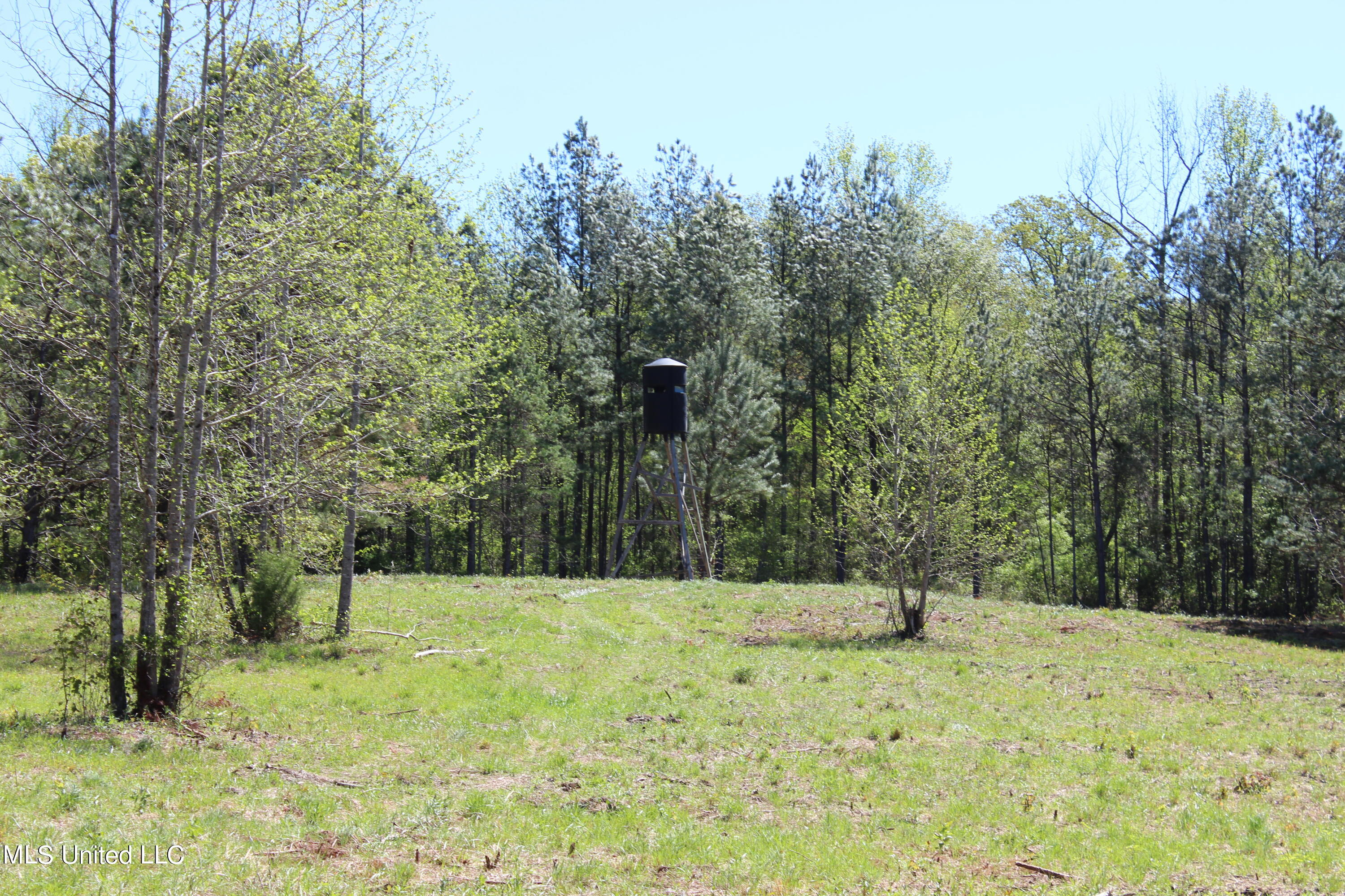 Melvin Leach  Road, Union, Mississippi image 29