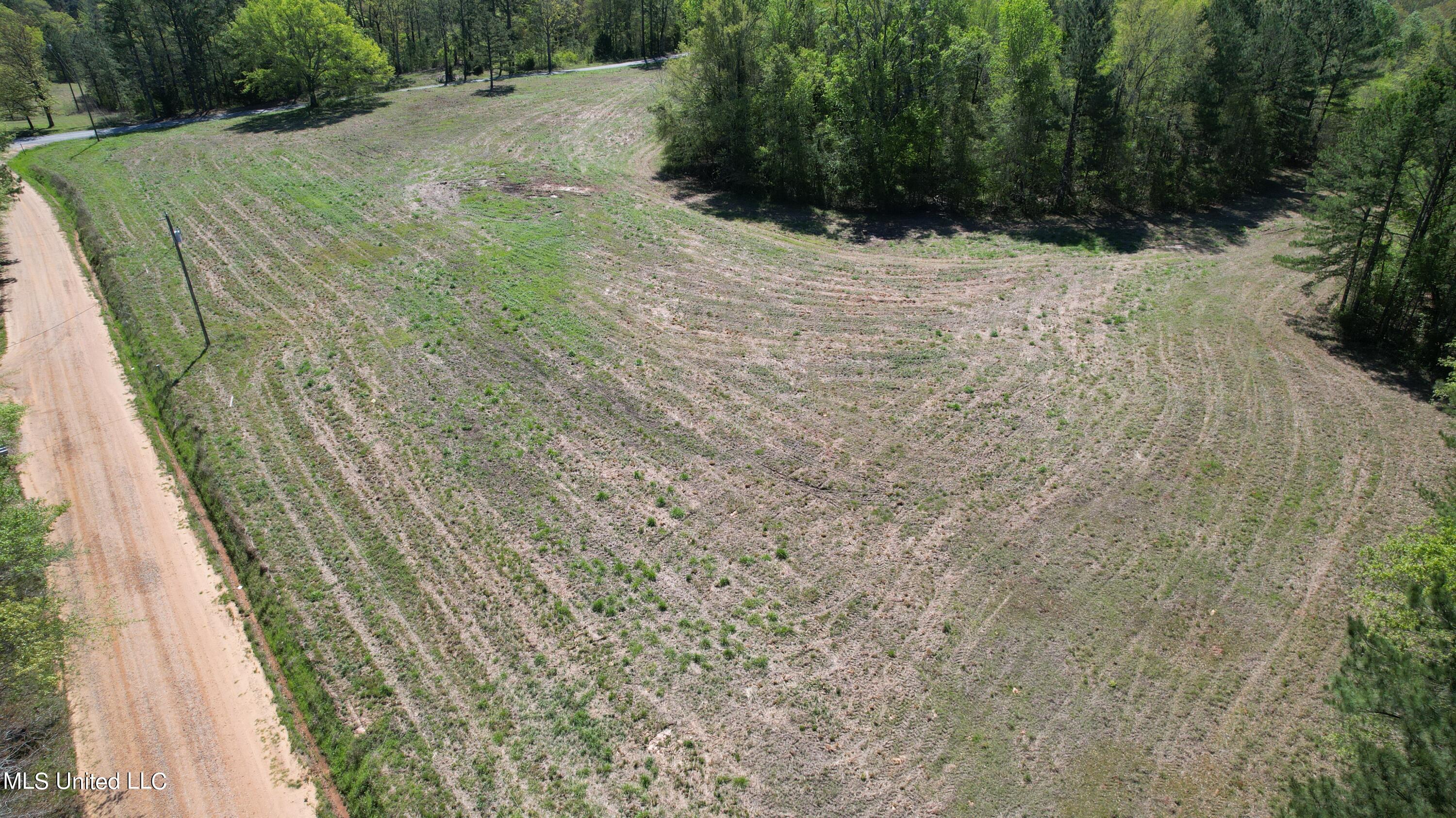 Melvin Leach  Road, Union, Mississippi image 2