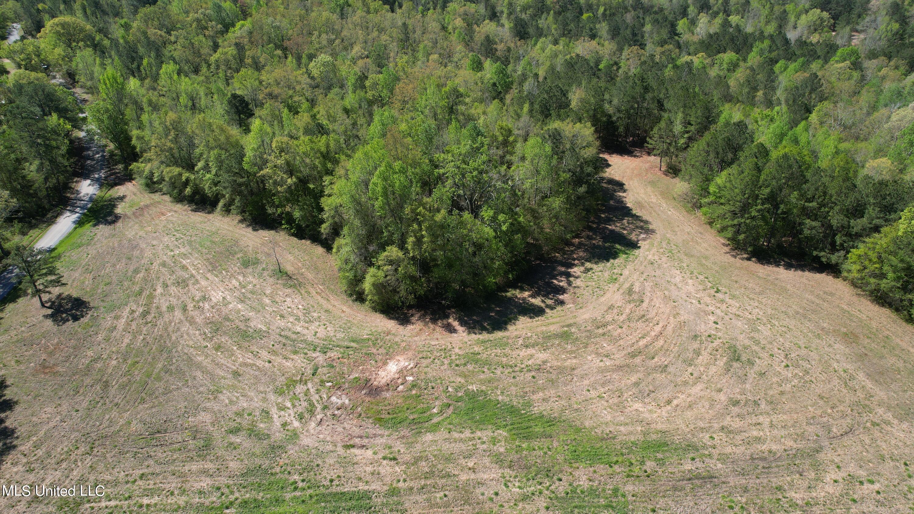 Melvin Leach  Road, Union, Mississippi image 4