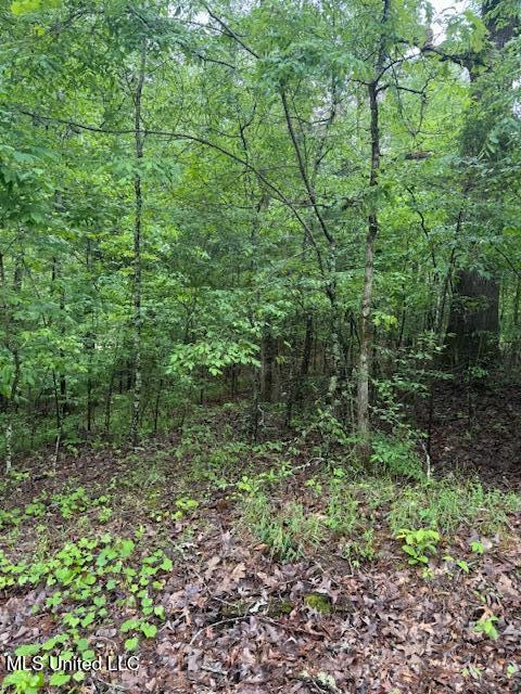 Lot 72 Block B Holiday Hills, Como, Mississippi image 2