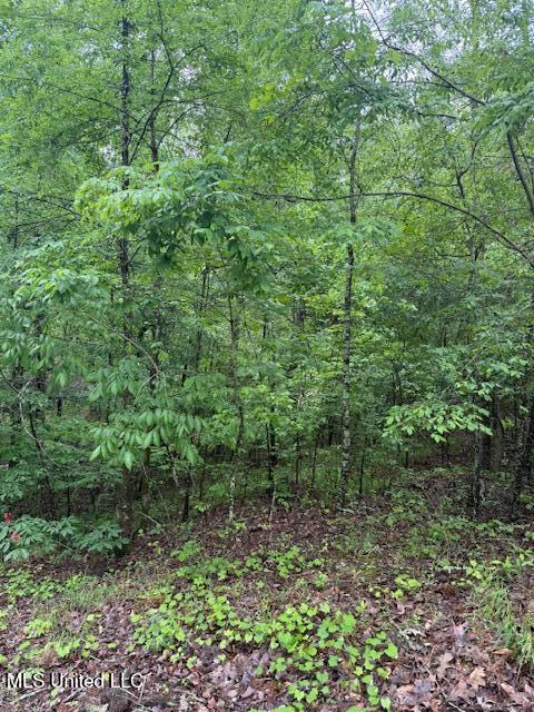 Lot 72 Block B Holiday Hills, Como, Mississippi image 3