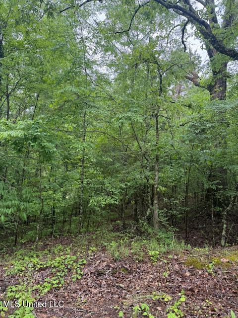 Lot 72 Block B Holiday Hills, Como, Mississippi image 5