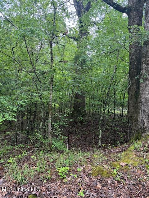 Lot 72 Block B Holiday Hills, Como, Mississippi image 4