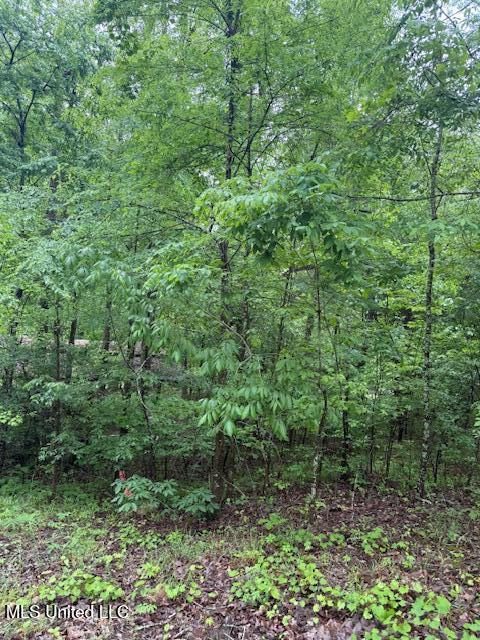 Lot 72 Block B Holiday Hills, Como, Mississippi image 1