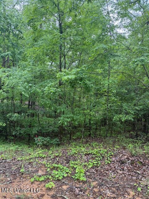 Lot 72 Block B Holiday Hills, Como, Mississippi image 6