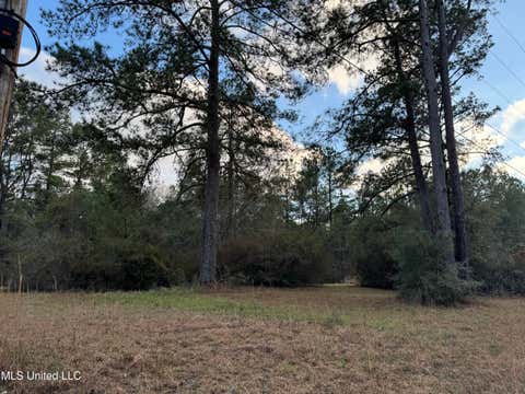 Vacant Land For Sale - 334 Baughman Rd<br/> Poplarville, MS 39470