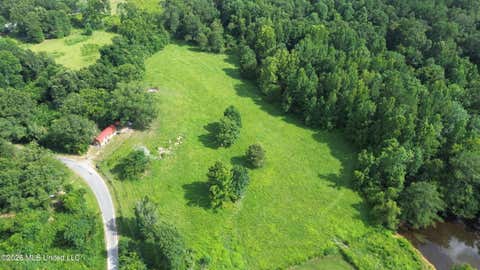 Vacant Land For Sale - 386 S Co Road 111-a<br/> Smith County, Raleigh, MS 39153