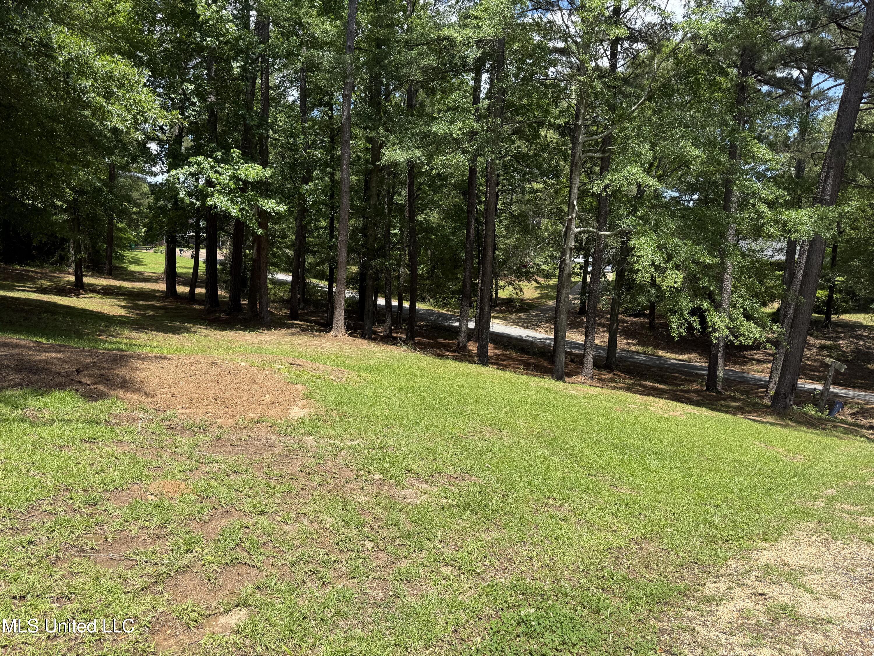163 Deer Run Road, Magee, Mississippi image 32