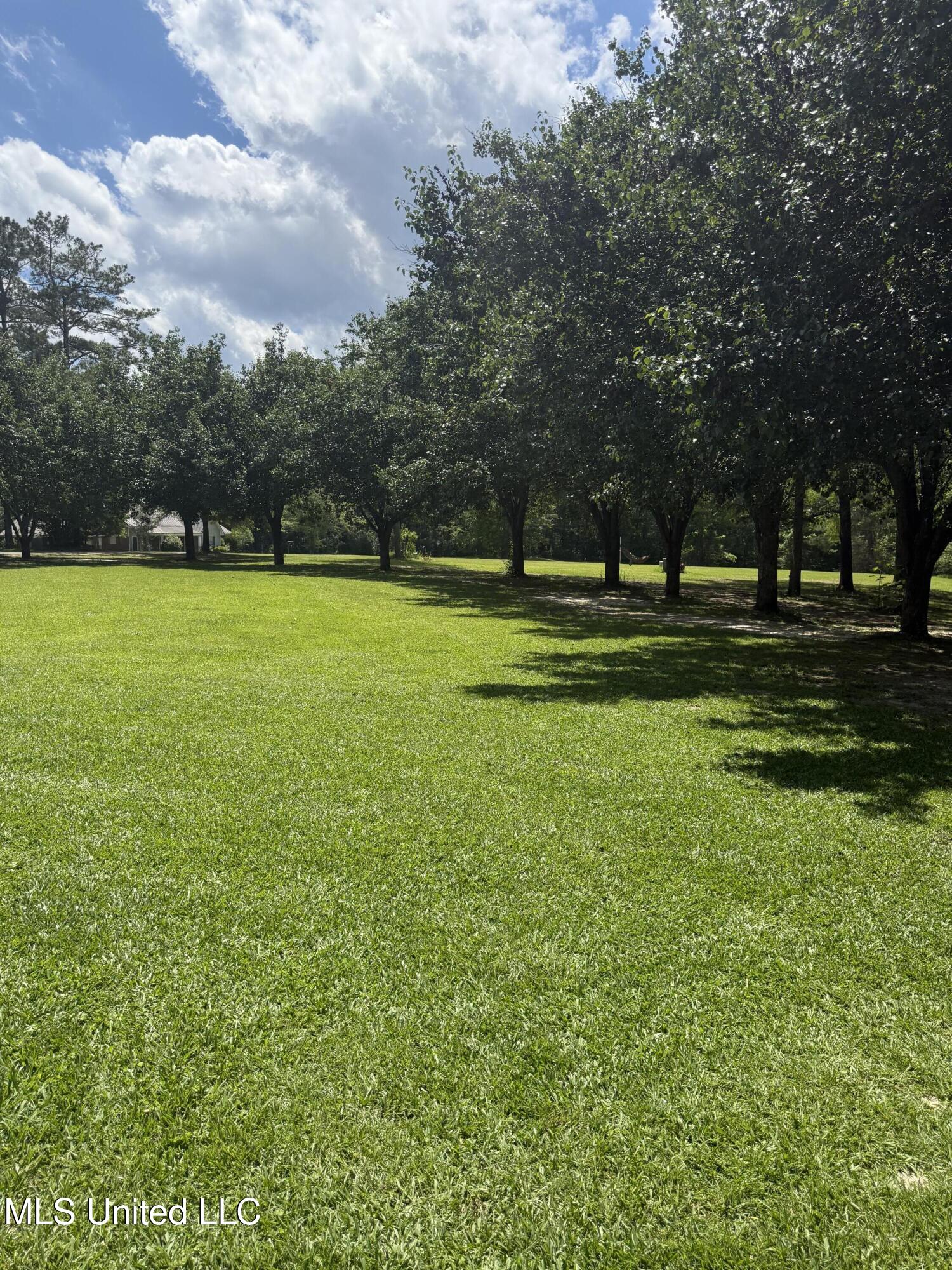 163 Deer Run Road, Magee, Mississippi image 29