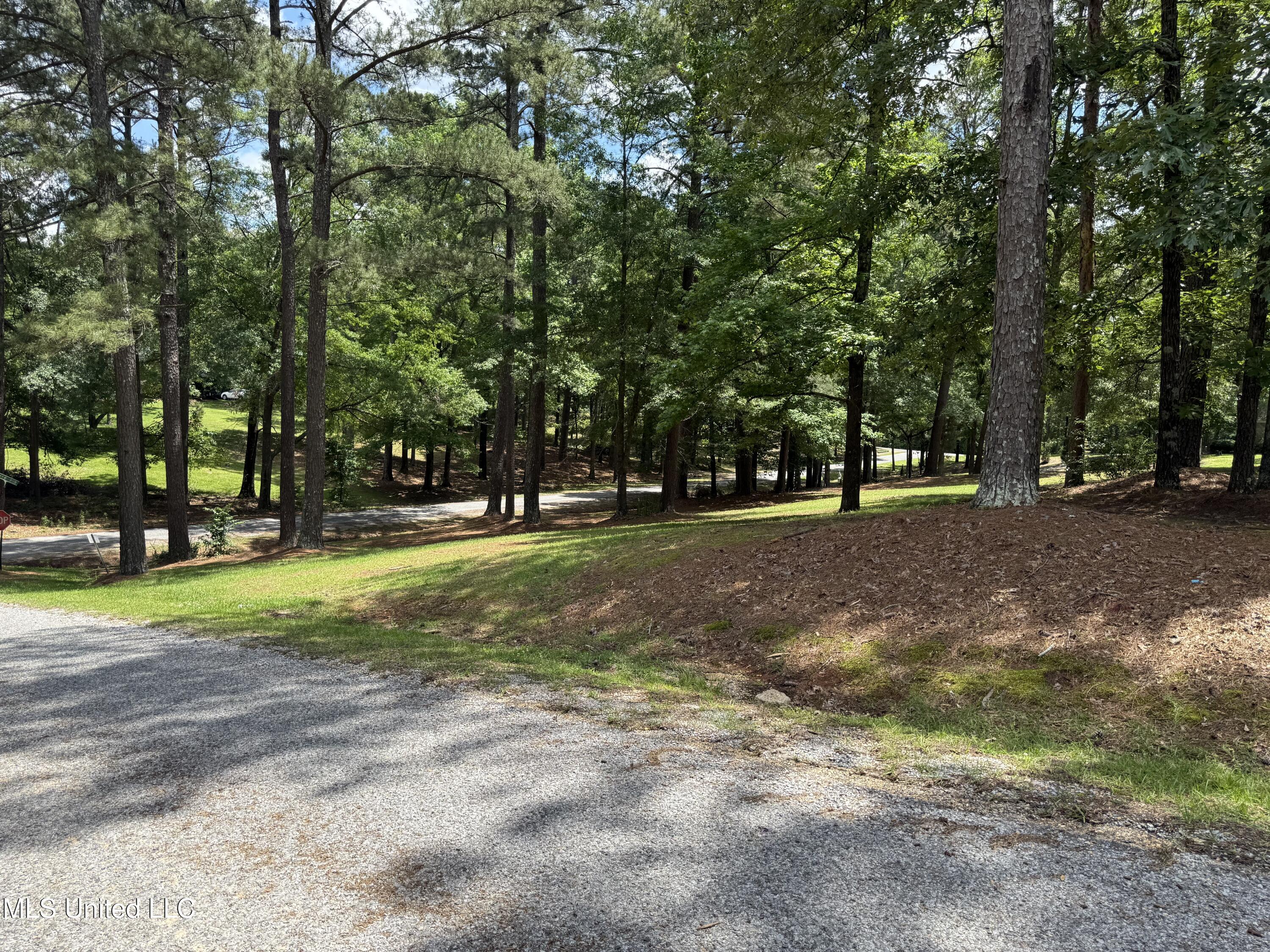 163 Deer Run Road, Magee, Mississippi image 31