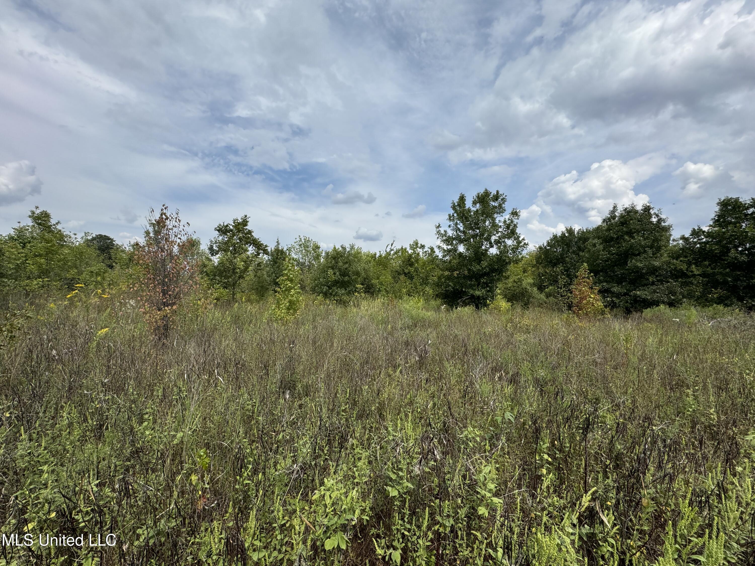 Fox Road, Shaw, Mississippi image 10