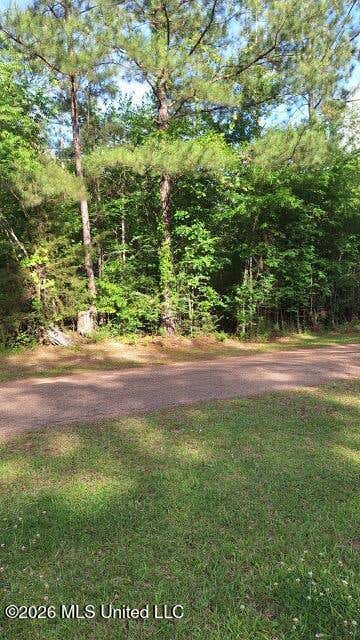 Vacant Land For Sale - 000 Smith Lane<br/> Copiah County, Wesson, MS 39191