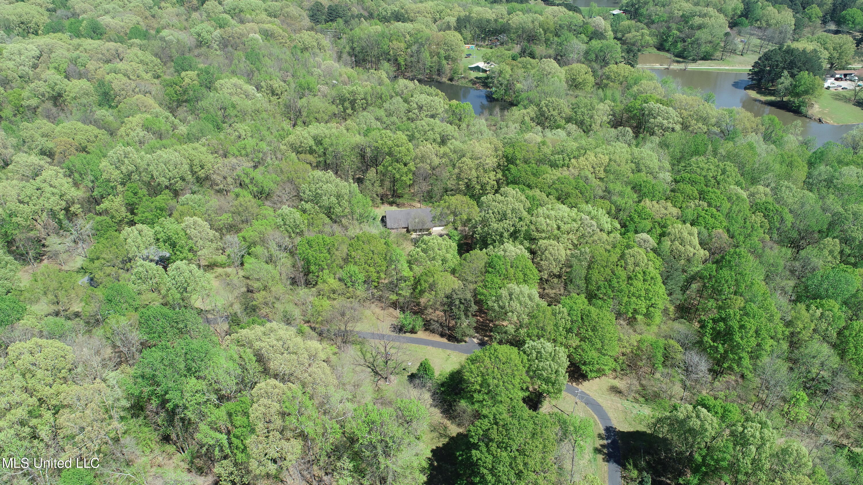 7701 Michael Drive, Lake Cormorant, Mississippi image 28