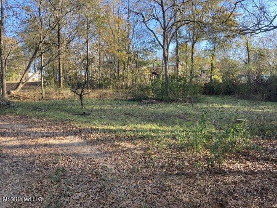 213 Pine Street, Seminary, Mississippi image 16