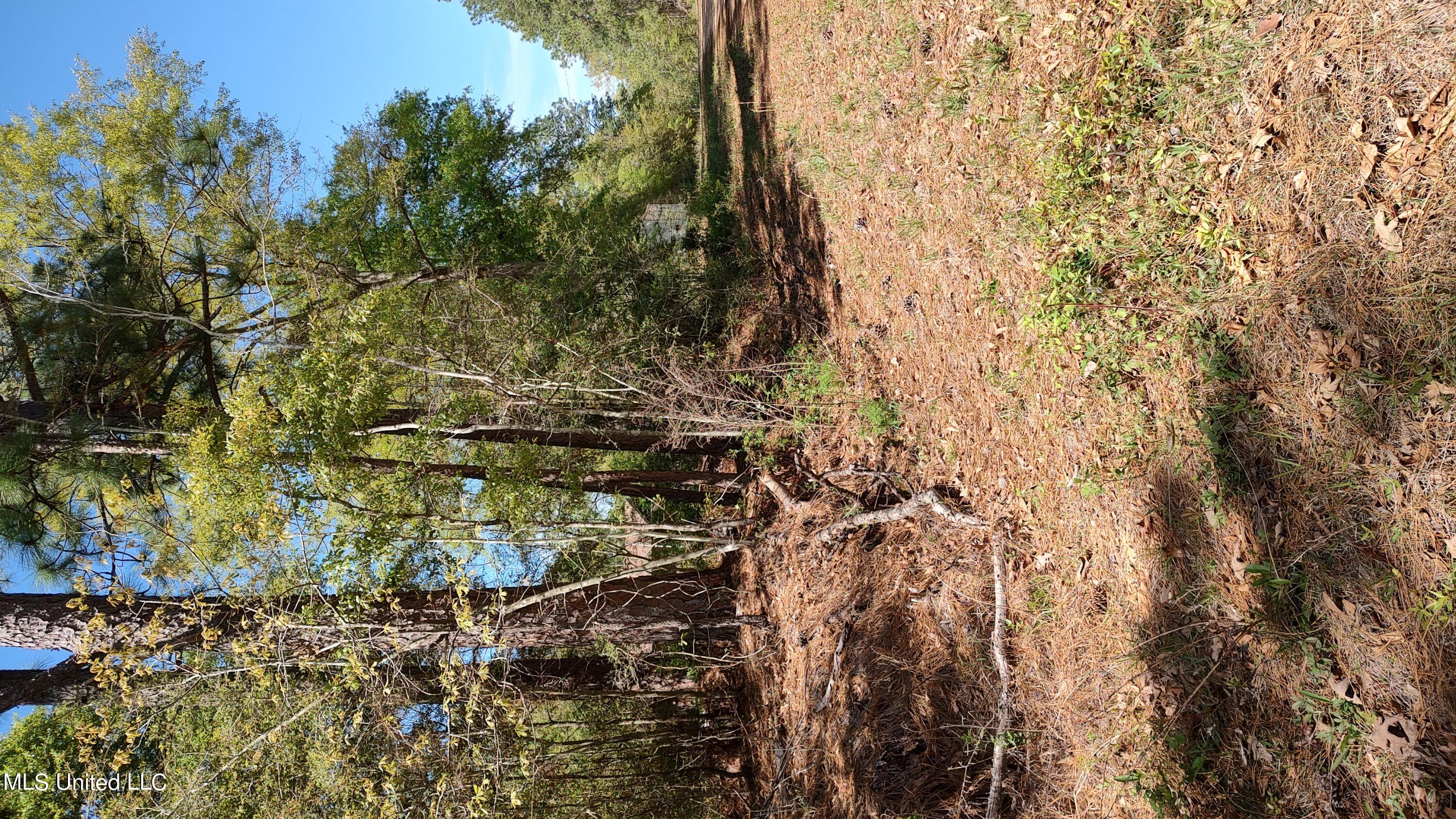 Downs Street, Lumberton, Mississippi image 8