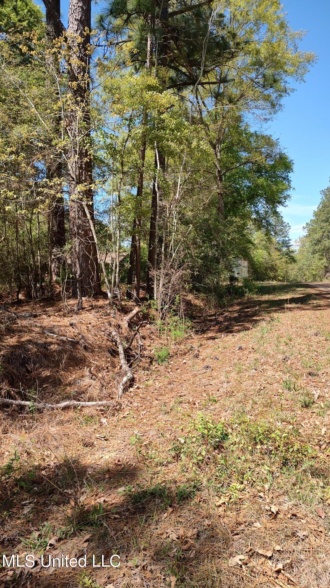 Downs Street, Lumberton, Mississippi image 6