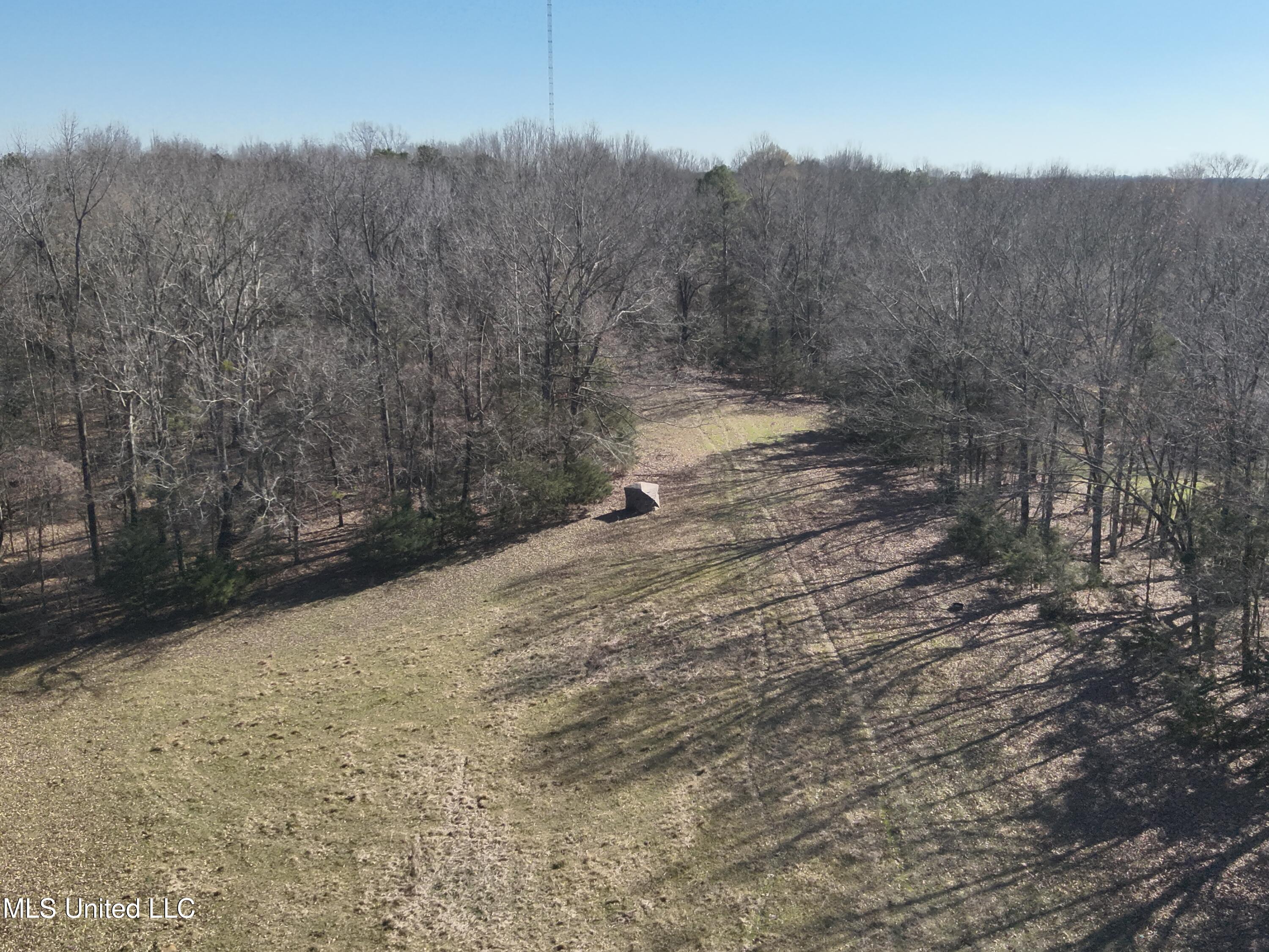 11801 Ebenezer Coxburg Rd Road, Lexington, Mississippi image 9