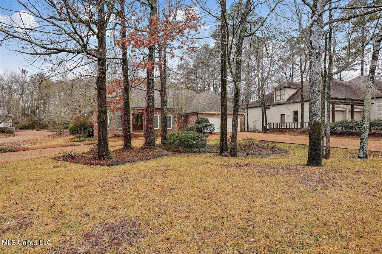 1025 Monet Cove, Brandon, Mississippi image 3