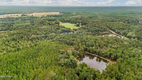 Vacant Land For Sale - Crenshaw Road<br/> Lucedale, MS 39452