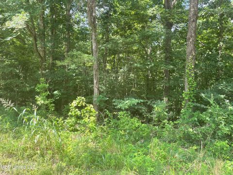 Vacant Land For Sale - Magnolia Circle<br/> Sarah, MS 38665