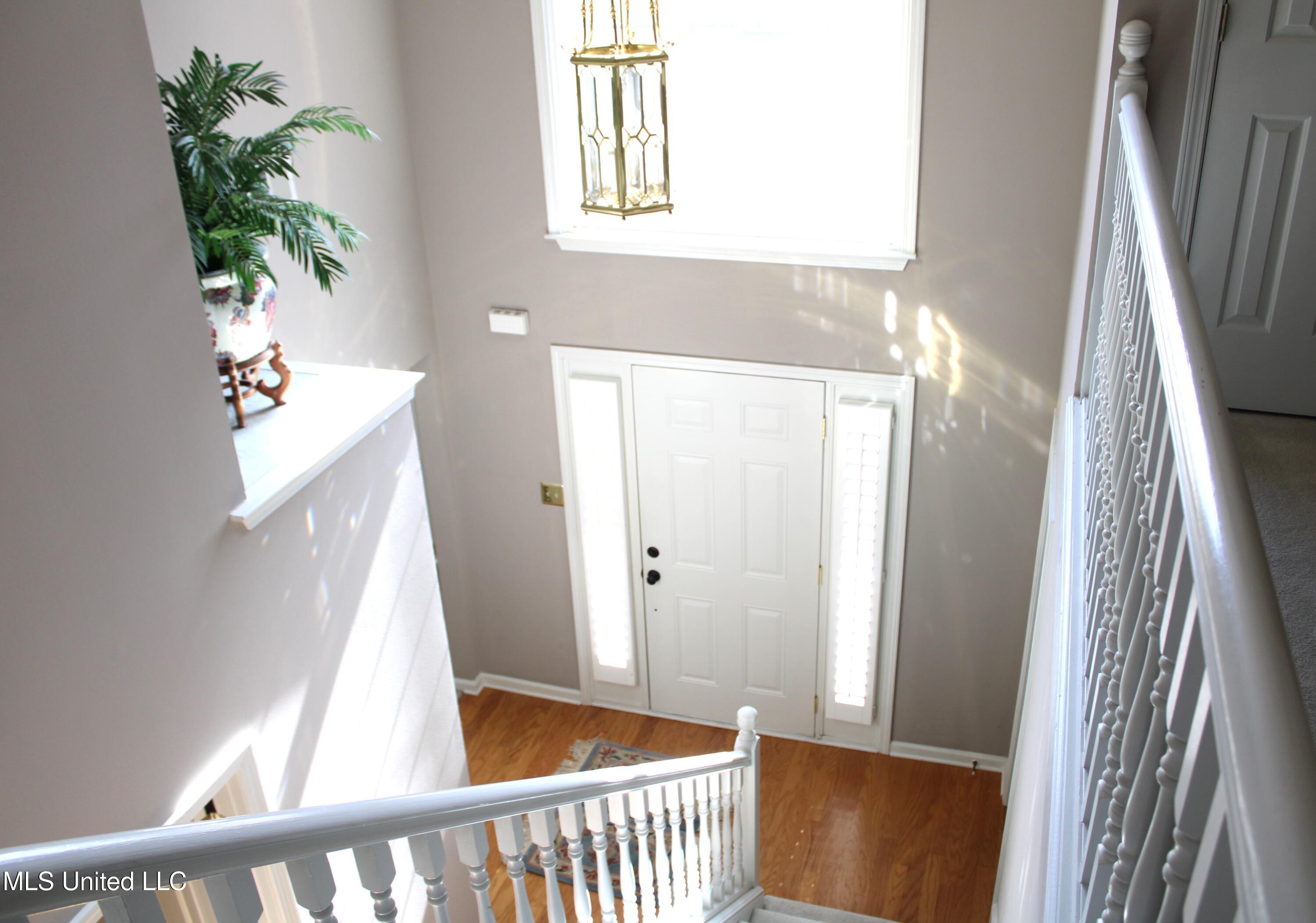 8061 Montrose Drive, Olive Branch, Mississippi image 4