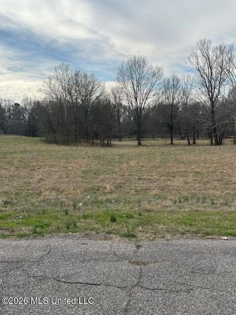 Vacant Land For Sale - W Alden Lake Dr.<br/> Horn Lake, MS 38637