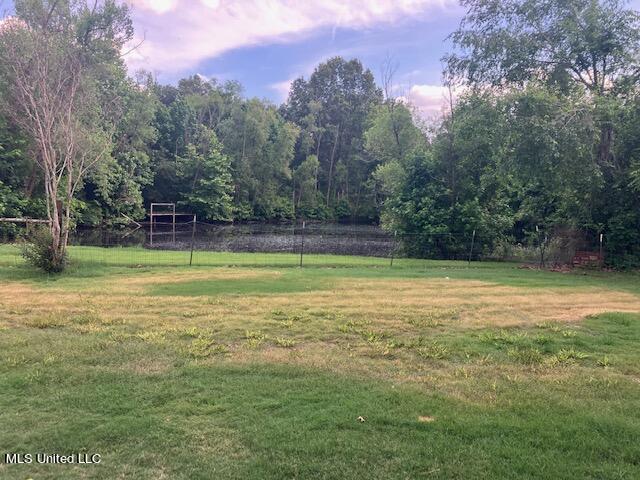 3065 Byhalia Road, Hernando, Mississippi image 17