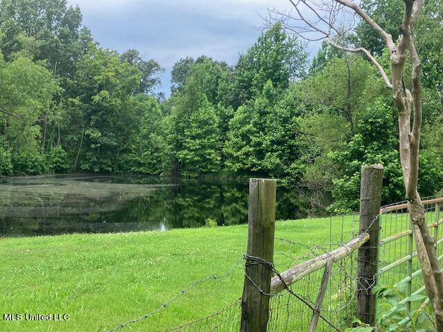 3065 Byhalia Road, Hernando, Mississippi image 18
