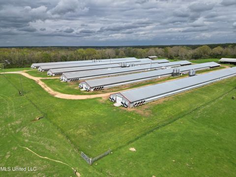 Vacant Land For Sale - 571 Mississippi 583<br/> Tylertown, MS 39667