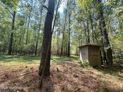 Vacant Land For Sale - 8 Forest Service Road 562<br/> Scott County, Pulaski, MS 39152
