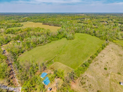 Vacant Land For Sale - 2836 Anthony Road<br/> Pope, MS 38658