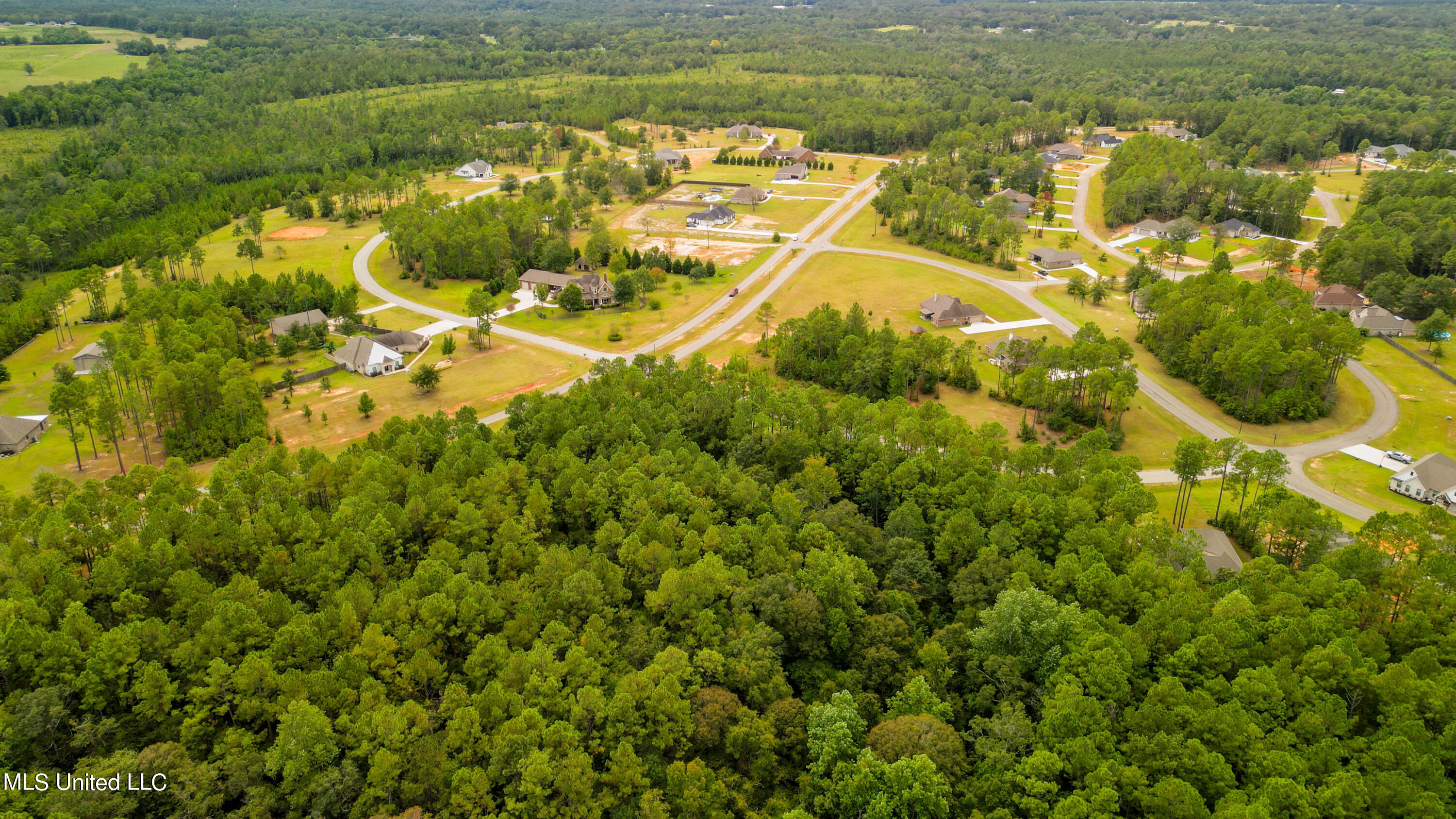 00 Sweet Birch Drive, Carriere, Mississippi image 10