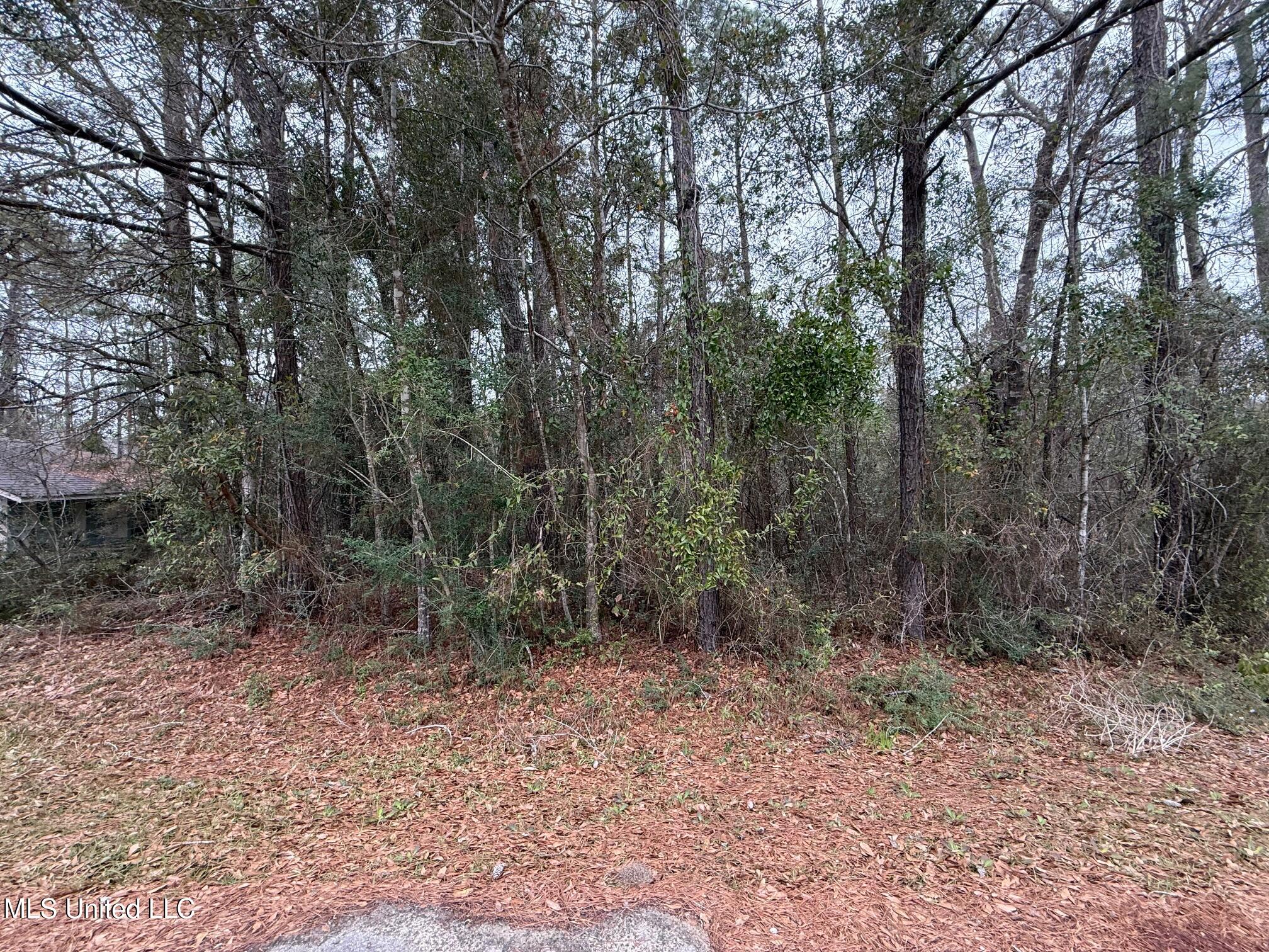 1066 Lilinoe Place, Diamondhead, Mississippi image 1