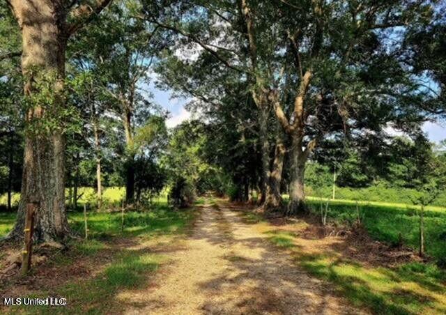 809 Osborn Moody Road, Poplarville, Mississippi image 13