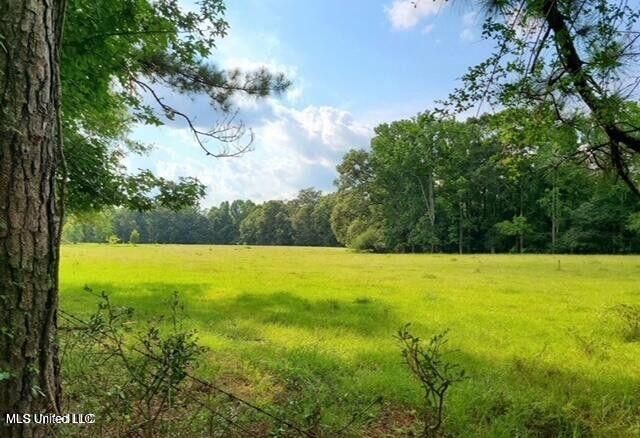 809 Osborn Moody Road, Poplarville, Mississippi image 3