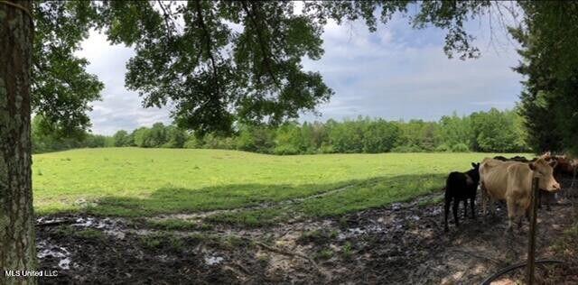 809 Osborn Moody Road, Poplarville, Mississippi image 31