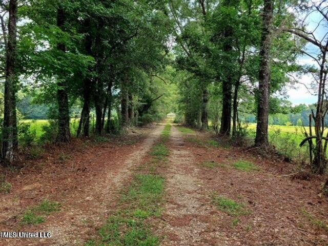 809 Osborn Moody Road, Poplarville, Mississippi image 1