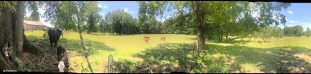 809 Osborn Moody Road, Poplarville, Mississippi image 24