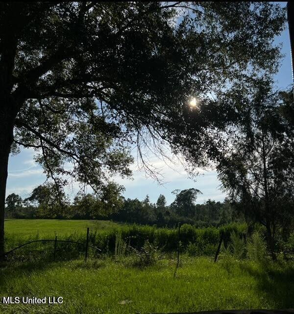 809 Osborn Moody Road, Poplarville, Mississippi image 19