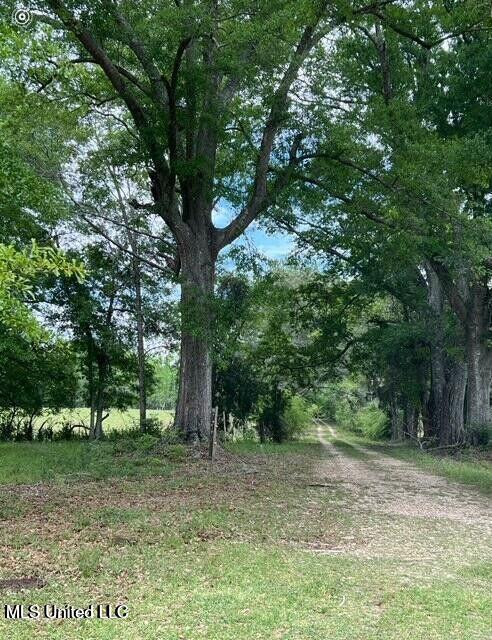 809 Osborn Moody Road, Poplarville, Mississippi image 16