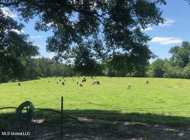 809 Osborn Moody Road, Poplarville, Mississippi image 7