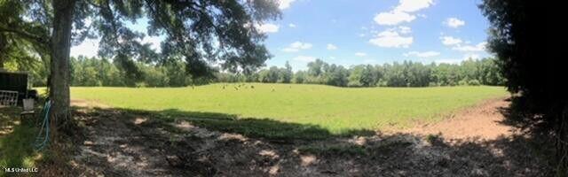 809 Osborn Moody Road, Poplarville, Mississippi image 25