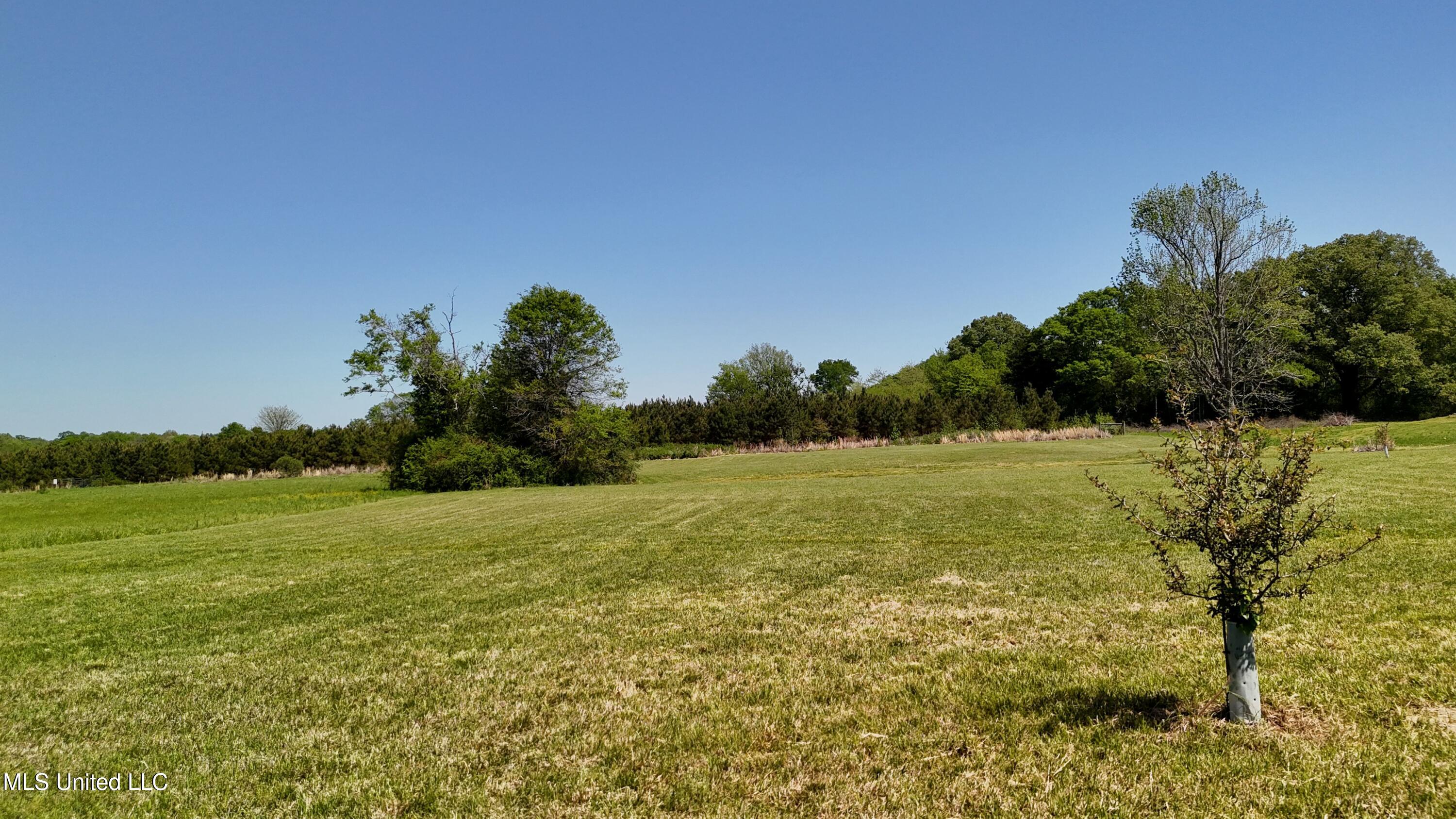 128 Meadow Oaks Lane, Clinton, Mississippi image 9